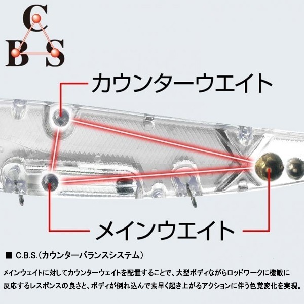 アマゾン ボーンモデル